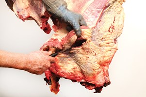 Neck and Chuck Eye bone in Meat Cut Spec Step 8